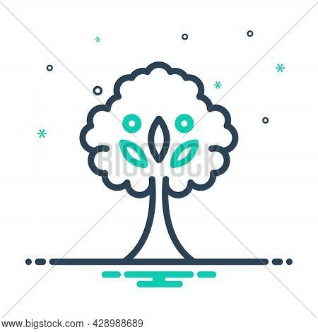 Mix Icon For Tree Plant  Foliage Greenstuff Sapling Seedling Timber Ecology Nature