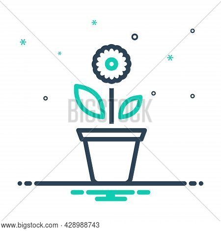 Mix Icon For Plant Foliage Greenstuff Greenery Flora Seedling Botany Herb Nature Gardening Pote Hous
