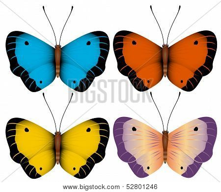 vector illustration. Multi-colored butterflies isolated on a white background