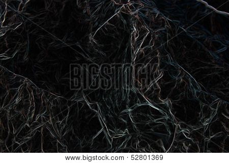 Cosmic veins in black universe