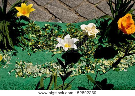 The Flowers From Paper