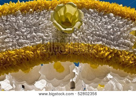 The Flowers From Paper