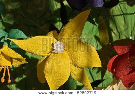 The Flowers From Paper