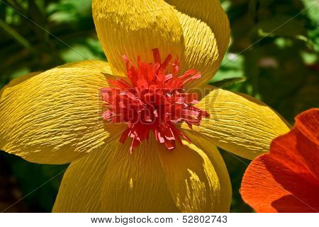 The Flowers From Paper