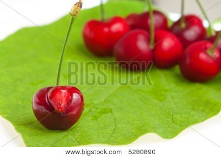 Sweet Cherry