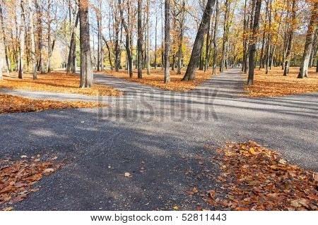 Autumn Park Kadriorg, Tallinn