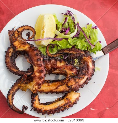 Grilled octopus