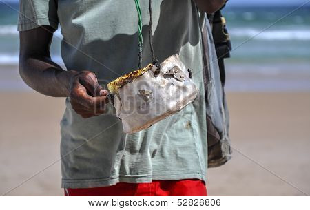 Walking Coalho Cheese Wendor