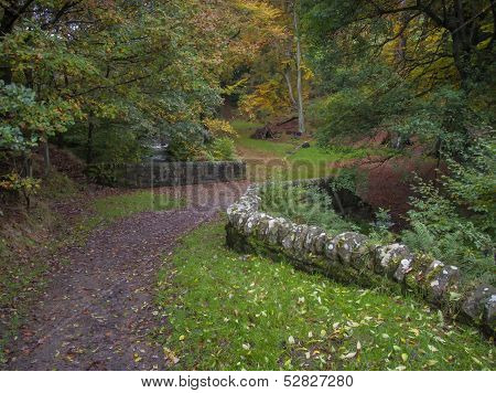 dry stone wall and old stone packhorse bridge in yorkshire woodland