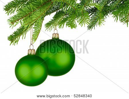 Green Christmas Baubles Hanging From Fresh Green Twigs