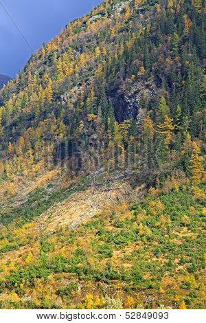 Autumn Forest At Ziarska Dolina - Valley In High Tatras, Slovakia