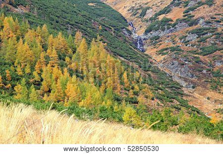 Autumn Forest At Ziarska Dolina - Valley In High Tatras, Slovakia