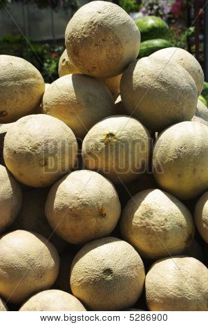 Cantalopes