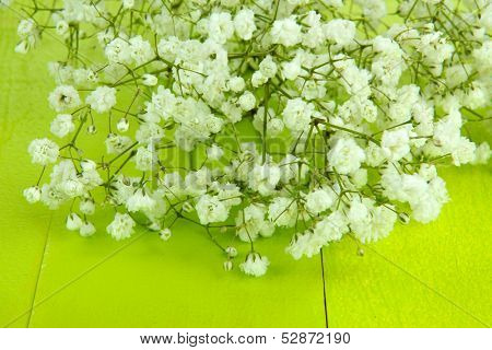 Beautiful gypsophila flowers on wooden background