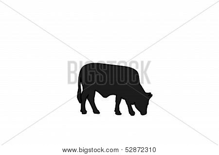 Dark Silhouette Of A Cow