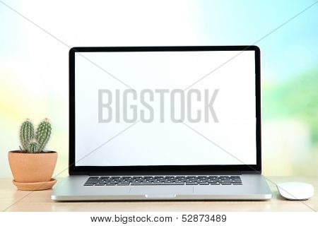 Laptop and cactus in flowerpot on wooden table