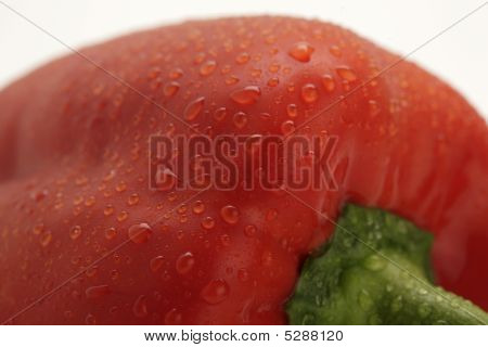Red Pepper