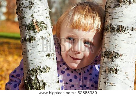 Cunning Little Girl With Birch