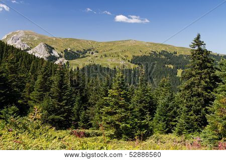 Ilgaz Mountains