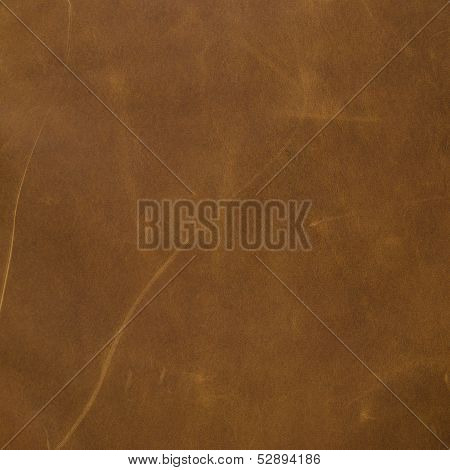 Brown Leather Texture Closeup