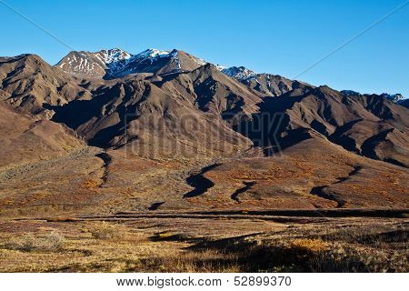 Autumn in Denali National Park