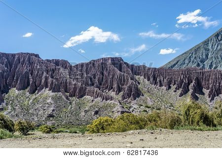 Cienaga, Quebrada De Humahuaca, Jujuy, Argentina.