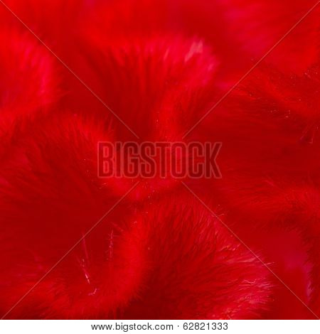 Cockscomb Backgrund Abstract