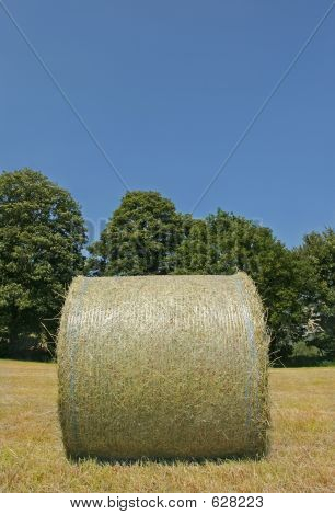 Verpakt Hay Bale