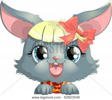 Rabbit Face
