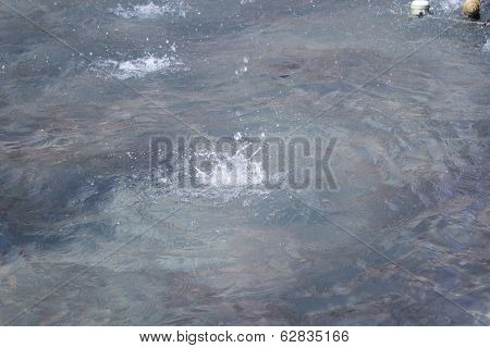 Stream Of Water Falling