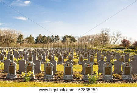 Cemetery Belgian Soldiers World War One