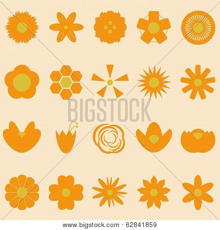 Set of orange flowers on bright background