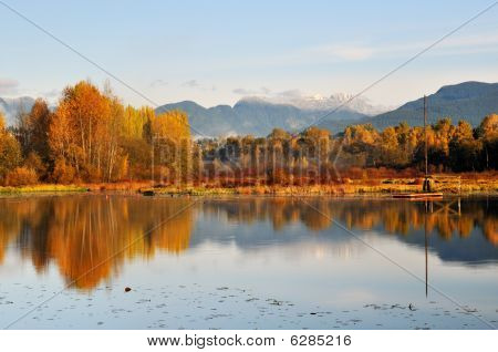 Foggy Burnaby Lake