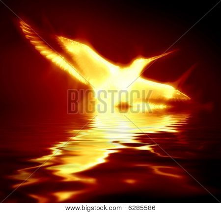 Phoenix