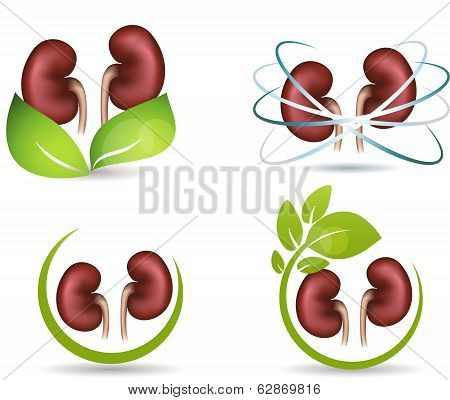 Kidneys Protection Symbol Collection
