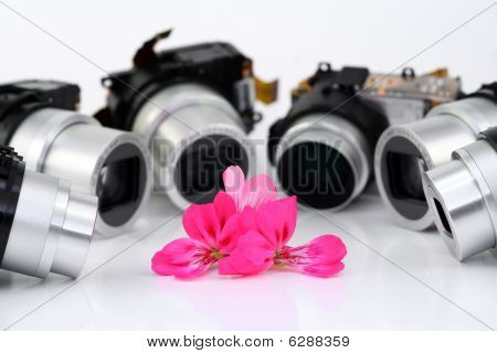 Blume von einem Geranium und Ziele der Kompaktkameras