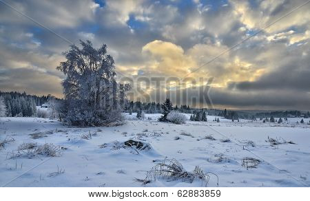 snow plains