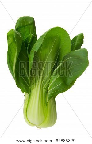 Baby Bokchoi
