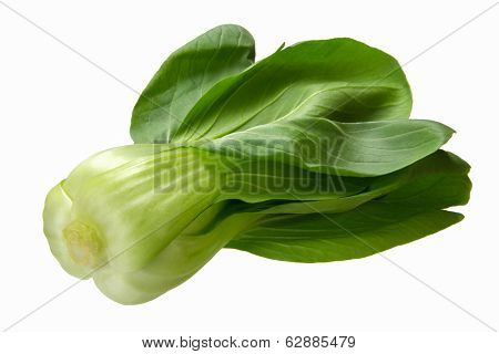 Baby Bokchoi