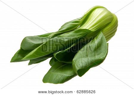 Baby Bokchoi