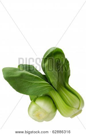 Baby Bokchoi