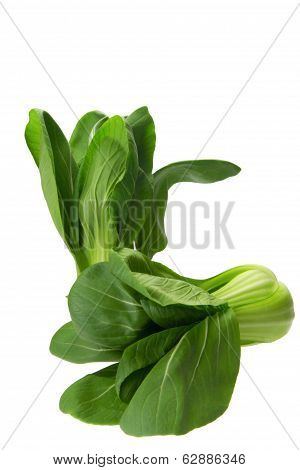 Baby Bokchoi