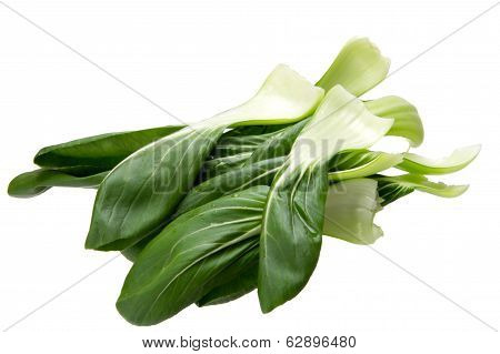 Baby Bokchoi