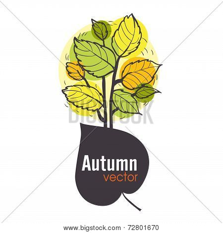 Autumn Tree Background