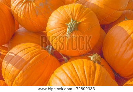Pumpkins