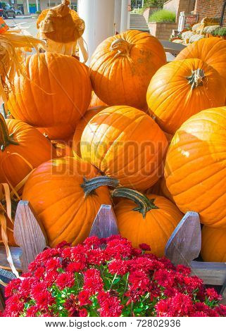 Pumpkins