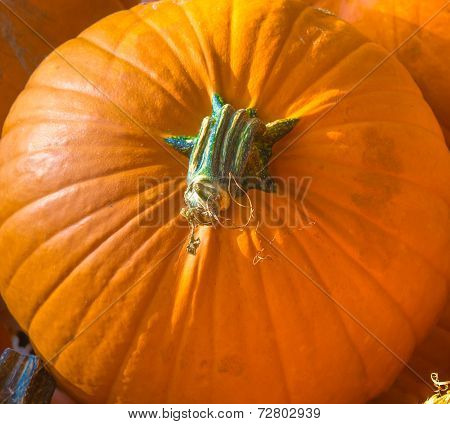 Pumpkins