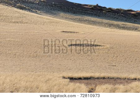 Fairy Circles Near Sesriem