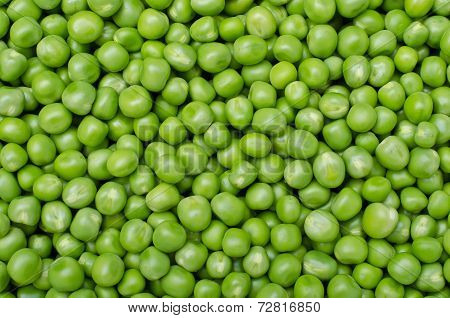 Pea