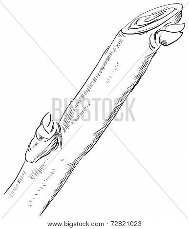Trimming A Tree Branch